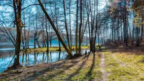 Marcowy dzień nad zatoką Skonał - zdjęcie 49