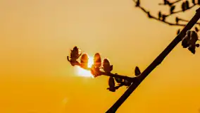 Zachód słońca nad Mazurskimi polami, Wopławki, marzec 2024 r. - zdjęcie 21