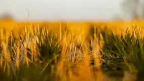 Zachód słońca nad Mazurskimi polami, Wopławki, marzec 2024 r. - zdjęcie 19