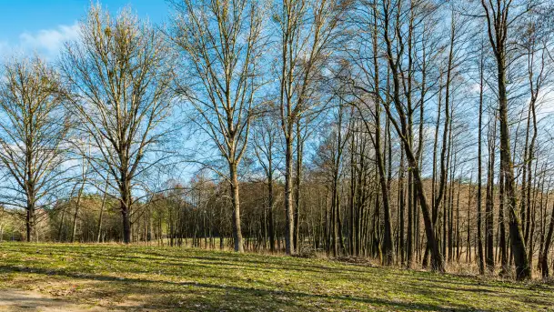 Jezioro Czarna Kuta i okolice, początek marca 2024 r. - zdjęcie 3