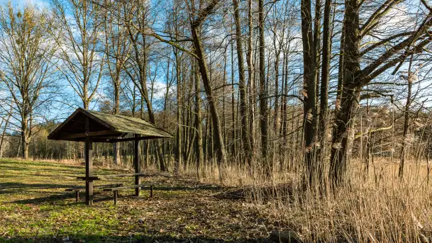Jezioro Czarna Kuta i okolice, początek marca 2024 r. - zdjęcie 6