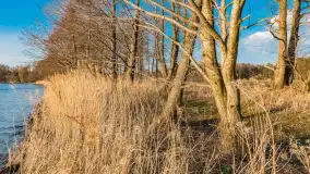 Jezioro Dargin przed zachodem słońca, marzec 2024 r. - zdjęcie 18