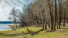 Bełdany Tarpan II, marzec 2024 r. - zdjęcie 12