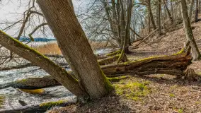 Bełdany Tarpan II, marzec 2024 r. - zdjęcie 37