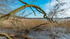 Bełdany Tarpan II, marzec 2024 r. - zdjęcie 27