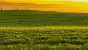 Wiosenne kadry o zachodzie słońca, koniec marca 2024 r. - zdjęcie 19