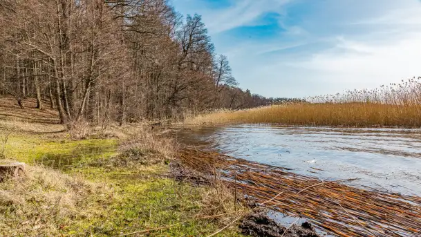 Wiosna nad jeziorem Bełdany, Binduga Tarpan I