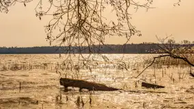 Wiosna nad jeziorem Bełdany, Binduga Tarpan I - zdjęcie 25
