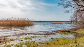 Wiosna nad jeziorem Bełdany, Binduga Tarpan I - zdjęcie 13