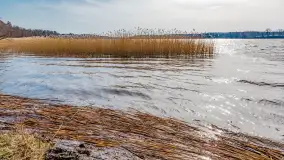 Wiosna nad jeziorem Bełdany, Binduga Tarpan I - zdjęcie 16