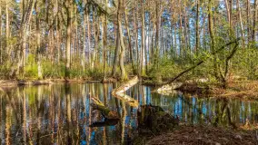 Wiosna i zachód słońca na półwyspie Kula, kwiecień 2024 r. - zdjęcie 37