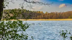 Wiosna i zachód słońca na półwyspie Kula, kwiecień 2024 r. - zdjęcie 10