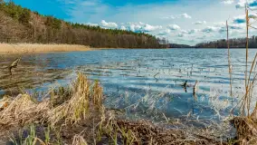 Wiosna i polana Wydra przy jeziorze Tyrkło, marzec 2024 r. - zdjęcie 9