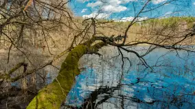 Wiosna i polana Wydra przy jeziorze Tyrkło, marzec 2024 r. - zdjęcie 1