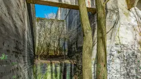 Śluza Leśniewo Górne na wiosennych ujęciach, marzec 2024 r. - zdjęcie 20