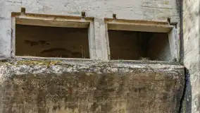 Śluza Leśniewo Górne na wiosennych ujęciach, marzec 2024 r. - zdjęcie 43