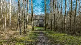 Śluza Leśniewo Górne na wiosennych ujęciach, marzec 2024 r. - zdjęcie 32