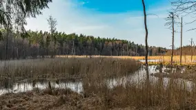Wiosna nad niewielkim, mazurskim jeziorkiem, marzec 2024 r. - zdjęcie 14