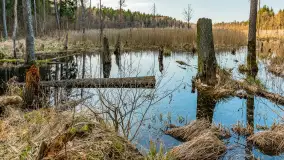 Wiosna nad niewielkim, mazurskim jeziorkiem, marzec 2024 r. - zdjęcie 11