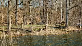 Jezioro Ublik Wielki i połączenie z Ublikiem Małym, marzec 2024 r. - zdjęcie 6