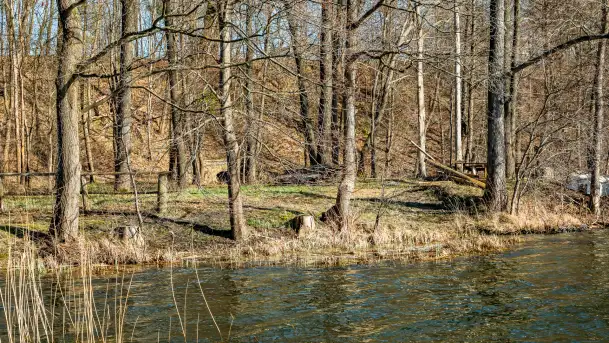 Jezioro Ublik Wielki i połączenie z Ublikiem Małym, marzec 2024 r. - zdjęcie 6