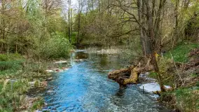 Zabytkowy młyn wodny przy Krutyni, kwiecień 2024 r. - zdjęcie 60