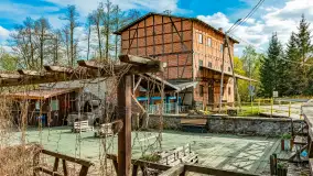 Zabytkowy młyn wodny przy Krutyni, kwiecień 2024 r. - zdjęcie 18