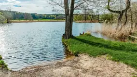 Zabytkowy młyn wodny przy Krutyni, kwiecień 2024 r. - zdjęcie 36