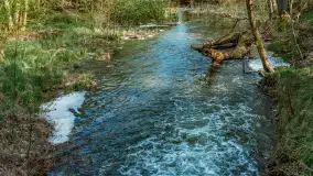 Zabytkowy młyn wodny przy Krutyni, kwiecień 2024 r. - zdjęcie 32