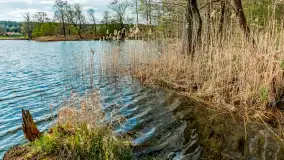 Zabytkowy młyn wodny przy Krutyni, kwiecień 2024 r. - zdjęcie 56