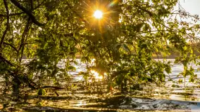 Zachód słońca nad jeziorem Salęt, kwiecień 2024 r. - zdjęcie 11