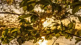 Zachód słońca nad jeziorem Salęt, kwiecień 2024 r. - zdjęcie 21