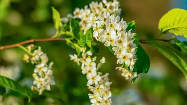 Zachód słońca nad jeziorem Salęt, kwiecień 2024 r. - zdjęcie 4