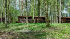 Zdjęcia: Atrakcyjne noclegi w domkach nad jeziorem Nidzkim: Ośrodek Wypoczynkowy Wodnik - zdjęcie 3