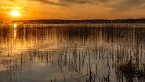 Zachód słońca nad jeziorem Święcajty, kwiecień 2024 r. - zdjęcie 26