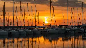 Wschód słońca w PTTK Wilkasy, jezioro Niegocin, maj 2024 r. - zdjęcie 11