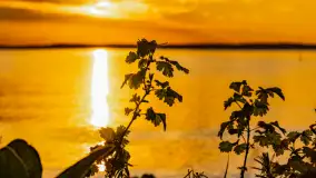 Zachód słońca nad jeziorem Niegocin, kwiecień 2024 r. - zdjęcie 13