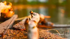 Zachód słońca nad jeziorem Niegocin, kwiecień 2024 r. - zdjęcie 16