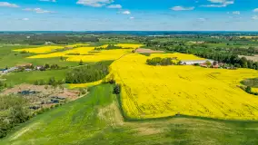 Rzepakowe pola widoczne z lotu ptaka, maj 2024 r. - zdjęcie 24