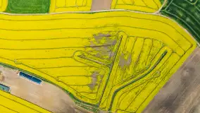 Rzepakowe pola widoczne z lotu ptaka, maj 2024 r. - zdjęcie 34