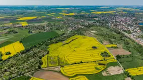 Rzepakowe pola widoczne z lotu ptaka, maj 2024 r. - zdjęcie 19