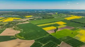 Rzepakowe pola widoczne z lotu ptaka, maj 2024 r. - zdjęcie 57