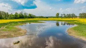 Rzepakowe pola widoczne z lotu ptaka, maj 2024 r. - zdjęcie 49