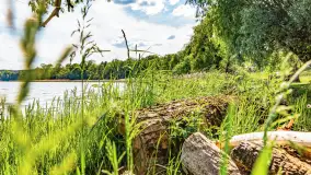 Plaża nad jeziorem Rydzówka pod koniec maja 2024 r. - zdjęcie 17