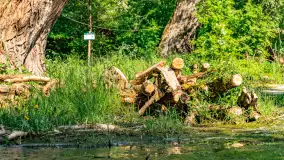 Plaża nad jeziorem Rydzówka pod koniec maja 2024 r. - zdjęcie 6