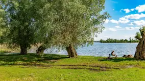 Plaża nad jeziorem Rydzówka pod koniec maja 2024 r. - zdjęcie 19