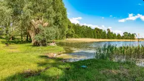 Plaża nad jeziorem Rydzówka pod koniec maja 2024 r. - zdjęcie 15