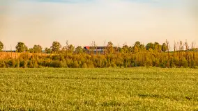 Mazury w wieczornych promieniach słońca, maj 2024 r. - zdjęcie 15