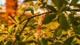 Mazury w wieczornych promieniach słońca, maj 2024 r. - zdjęcie 26