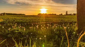 Mazury w wieczornych promieniach słońca, maj 2024 r. - zdjęcie 30